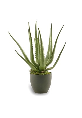 Pianta Artificiale Aloe Chic H55 - EDG