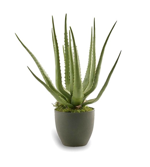 Pianta Artificiale Aloe Chic H55 - EDG