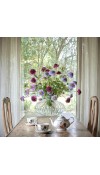 Fiore di Scabiosa Lilla H65 - EDG 