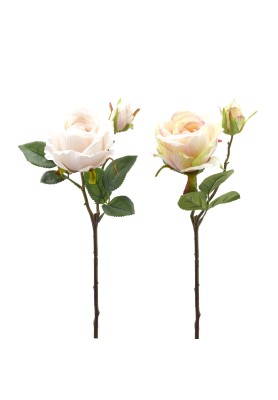 Fiori di Rosa con Bocciolo e foglie 2COL/ASS - EDG 