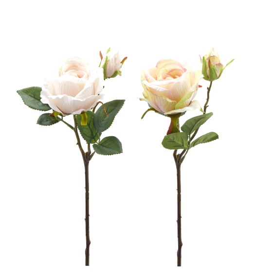 Fiori di Rosa con Bocciolo e foglie 2COL/ASS - EDG 