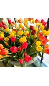 Tulipano Arancio Bouquet da 5 Fiori - EDG 