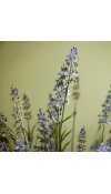 Pianta Artificiale di Lavanda West - EDG