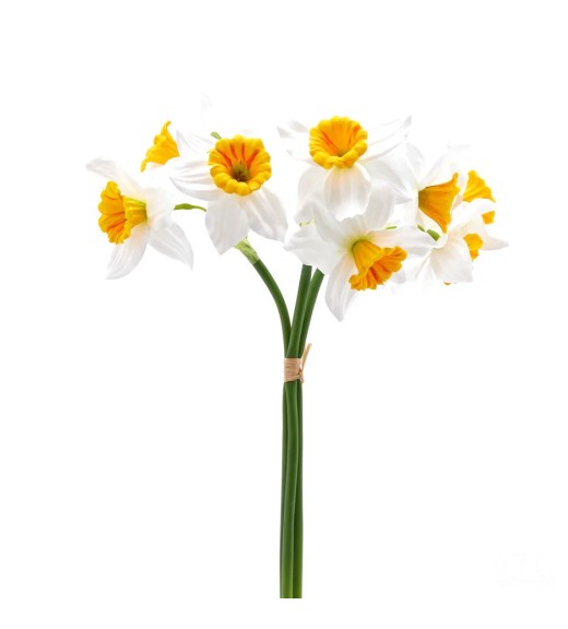 Fiori di Narciso H40 cm - EDG 