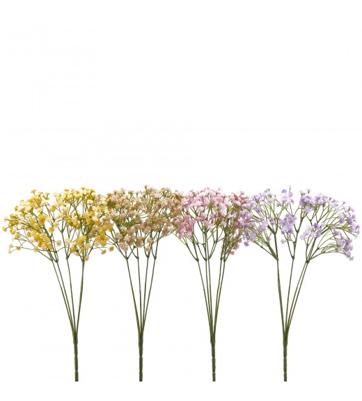 Cespuglio di Gypsophila 4ASS H40 cm - EDG 