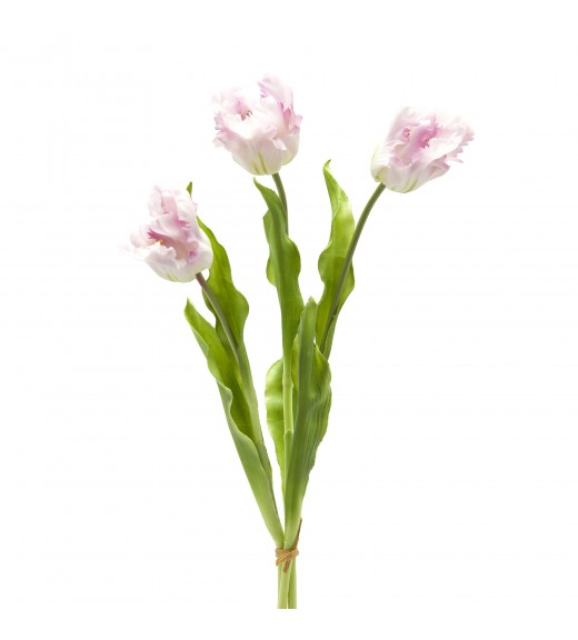 Tulipano Parrot 3 Fiori H51cm Bianco e Rosa  - EDG 