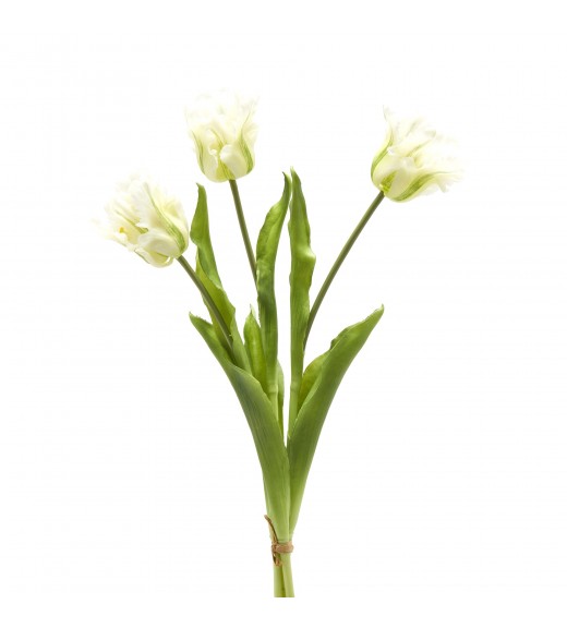 Tulipano Parrot 3 Fiori H51cm Bianco - EDG 
