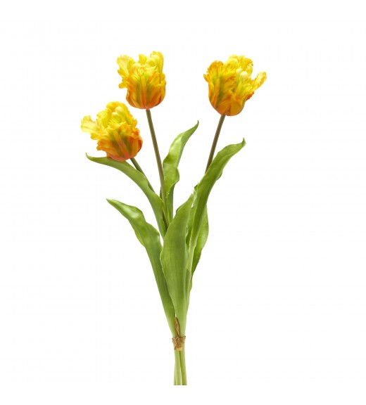Tulipano Parrot 3 Fiori H51cm Giallo - EDG 