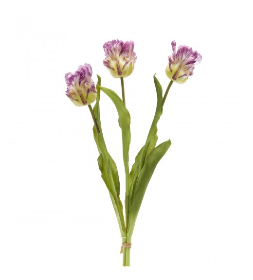 Tulipano Parrot 3 Fiori H51cm Viola - EDG 