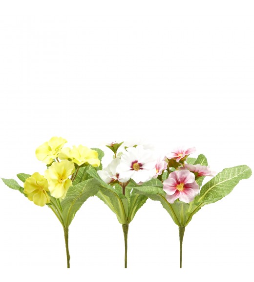 Fiori di Primula 5 fiori con foglie 3ASS H22 cm - EDG 