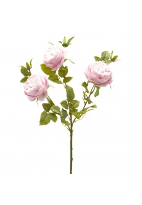 Ramo di Rosa Sonia Rosa H65 - EDG