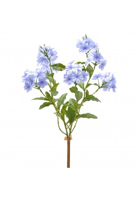 Cespuglio di Piombaggine Indigo H45 - EDG 