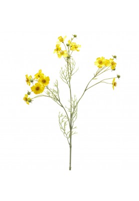 Fiore di Cosmos Giallo - EDG