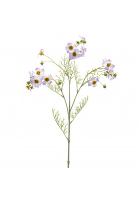 Fiore di Cosmos Lavanda - EDG
