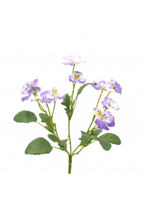 Cespuglio di Pansè Violetto H35 - EDG 