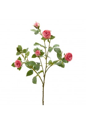 Ramo di Rosa Duke Rosa Intenso H68 - EDG