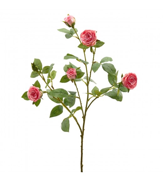 Ramo di Rosa Duke Rosa Intenso H68 - EDG
