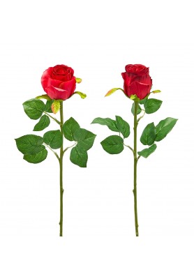 Fiori di Rosa Bocciolo Olis Rosso 2COL/ASS H51 - EDG 