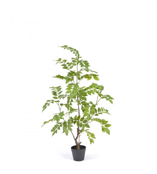 Pianta Artificiale Dalbergia H115 - EDG 