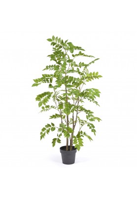 Pianta Artificiale Dalbergia H160 - EDG 