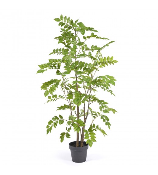 Pianta Artificiale Dalbergia H160 - EDG 