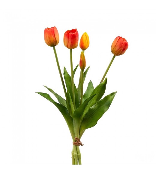 Tulipano Arancio Bouquet da 5 Fiori - EDG 