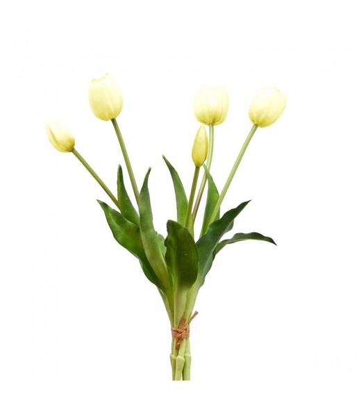 Tulipano Bianco Bouquet da 5 Fiori - EDG