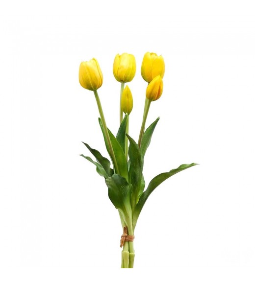 Tulipano Giallo Bouquet da 5 Fiori -  EDG 