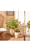 Vaso Glaze Bombato H32 EDG - Linea Vasi