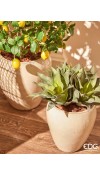 Vaso Glaze Bombato H32 EDG - Linea Vasi