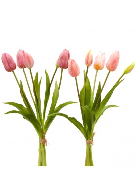 Tulipano Rosa Set da 2 Bouquet - EDG 