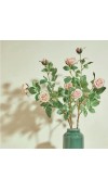 Ramo di Rosa Duke Rosa H68 - EDG