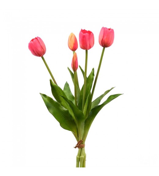 Tulipano Rosa Bouquet da 5 Fiori - EDG 