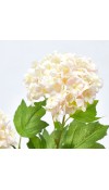 Ramo di Viburno Bianco con foglie H70 - EDG