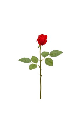 Fiore di Rosa Bocciolo Velvet Rosso H46 - EDG