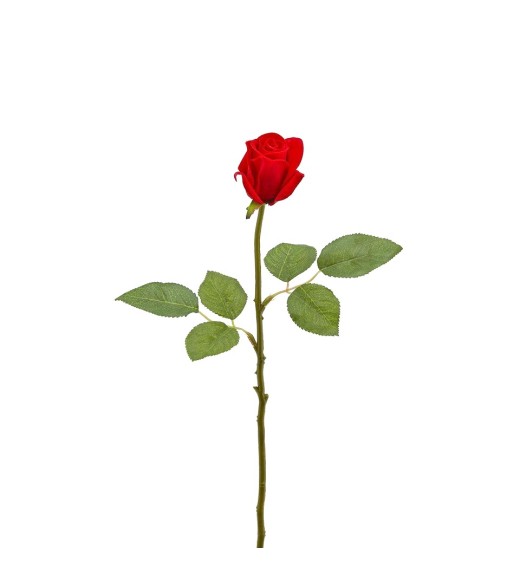Fiore di Rosa Bocciolo Velvet Rosso H46 - EDG