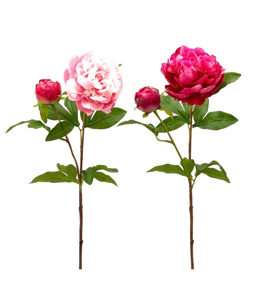 Fiore di Peonia Olis Rosa - EDG 