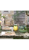 Caraffa Limone - EDG