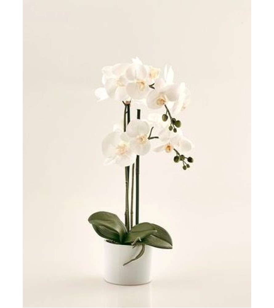 Pianta Artificiale Orchidea 2 Phalaenopsis EDG - Linea White
