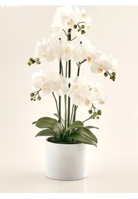 Pianta Artificiale Orchidea 5 Phalaenopsis - EDG