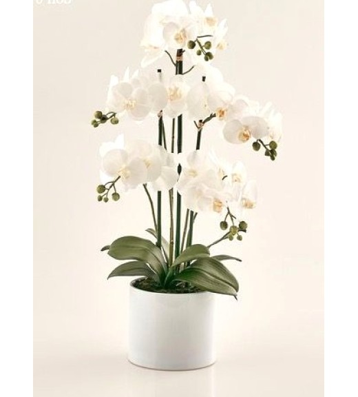Pianta Artificiale Orchidea 5 Phalaenopsis - EDG