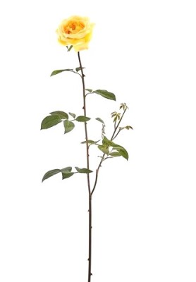 Ramo di Rosa Sara Gialla H94 - EDG