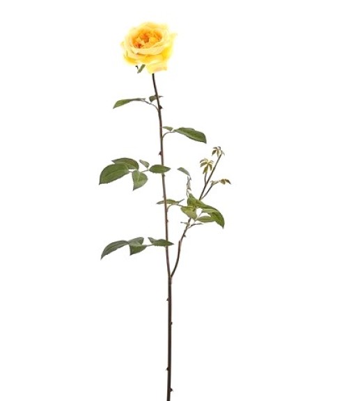 Ramo di Rosa Sara Gialla H94 - EDG