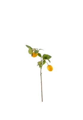 Ramo di Limoni Giallo - EDG