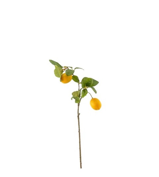 Ramo di Limoni Giallo - EDG