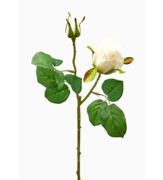 Fiore di Rosa Bocciolo Olis Avorio - EDG 