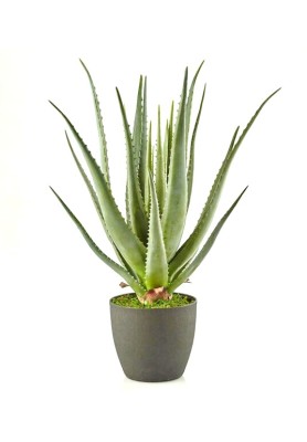 Pianta Artificiale Aloe Chic h70 - EDG