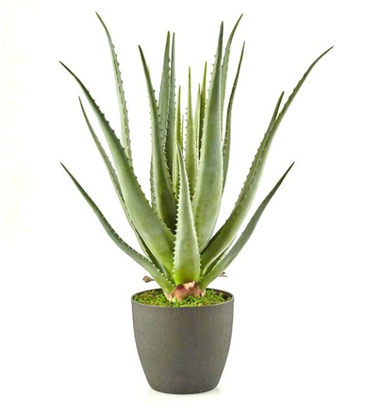 Pianta Artificiale Aloe Chic h70 - EDG