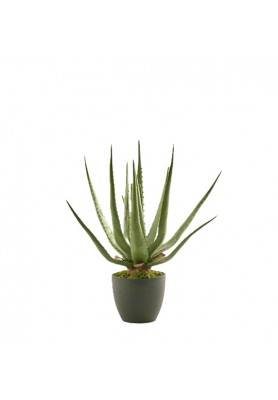 Pianta Artificiale Aloe Chic H45 -  EDG 