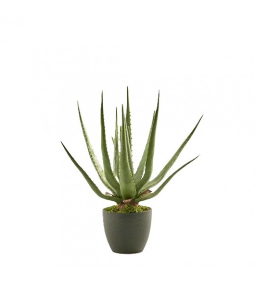 Pianta Artificiale Aloe Chic H45 -  EDG 